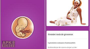 Semaines de grossesse