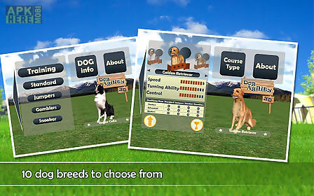 dog agility 3d free