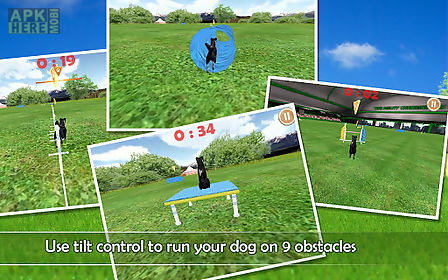 dog agility 3d free