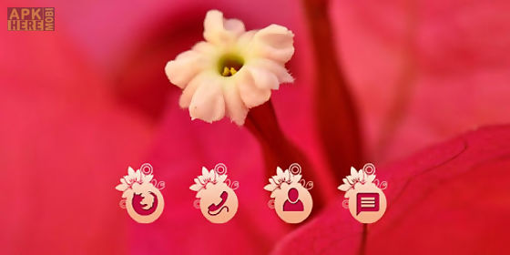 red flower cm launcher theme