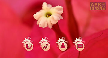 Red flower cm launcher theme