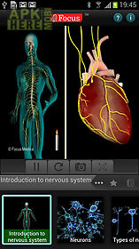 anatomy & physiology-animated