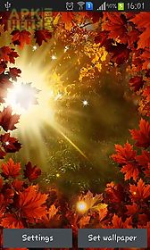 autumn sun live wallpaper