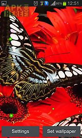best butterfly live wallpaper