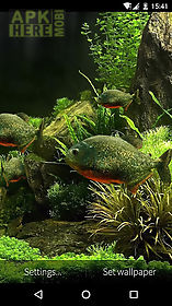 fish aquarium 3d live wallpaper