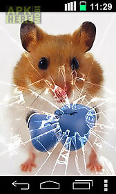 funny hamster: cracked screen live wallpaper