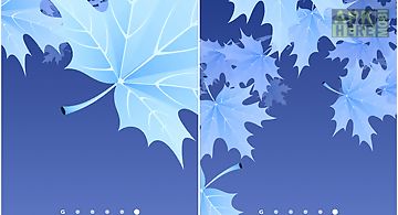 Maple leaves Live Wallpaper