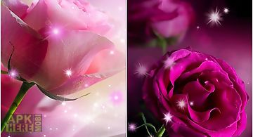 Pink roses Live Wallpaper
