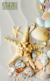 seashells  live wallpaper