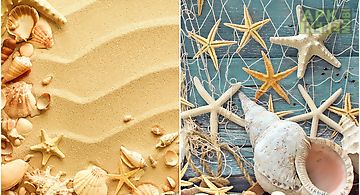 Seashells  Live Wallpaper