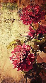 vintage roses  live wallpaper