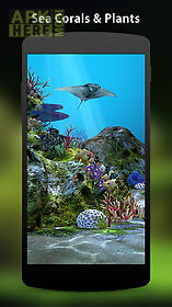 3d aquarium  hd live wallpaper