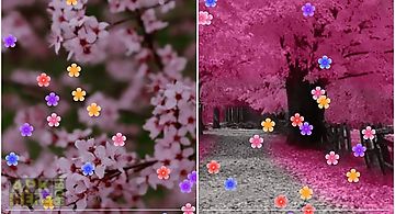 Blossom Live Wallpaper