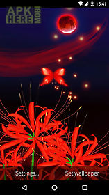 butterfly and flower 3d live wallpaper