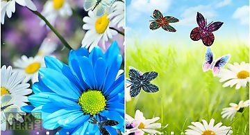 Daisies by  3d Live Wallpaper