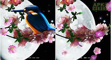 Sakura and bird Live Wallpaper