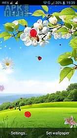 spring by pro  live wallpaper