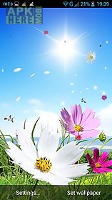 spring by pro  live wallpaper