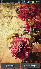 vintage roses live wallpaper