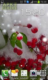 winter berry live wallpaper