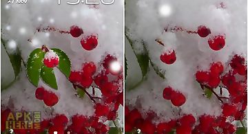 Winter berry Live Wallpaper