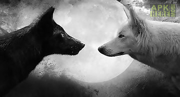 Wolves animals Live Wallpaper
