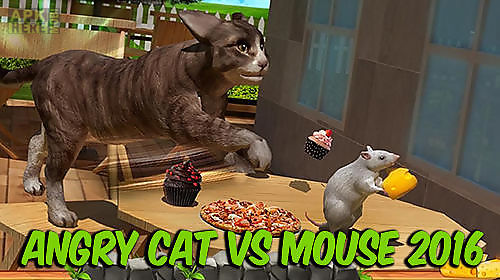 angry cat vs. mouse 2016