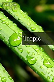 tropic rain forest stress