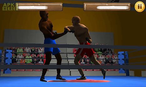 box fighters 3d