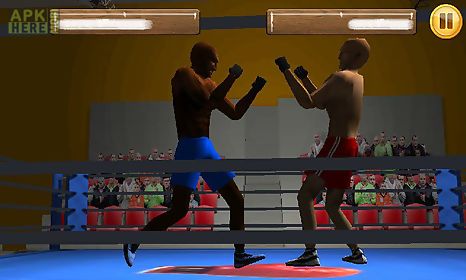 box fighters 3d