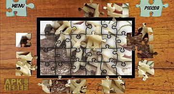 Jigsaw puzzles food world