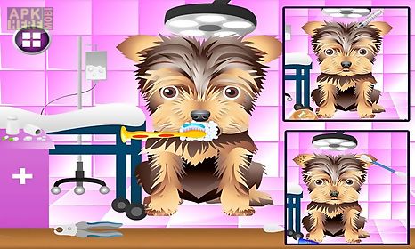 dog beauty salon