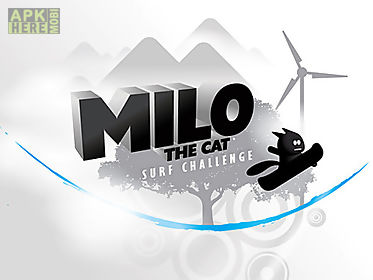 milo the cat: surf challenge