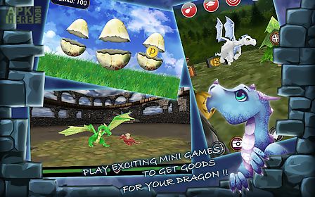 dragon pet game online