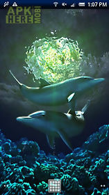 dolphin moonlight trial