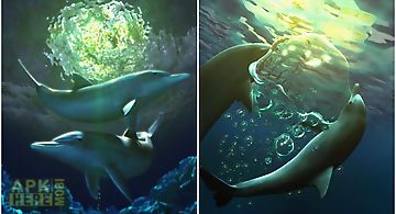 Dolphin moonlight trial