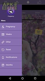 pregnancy tracker