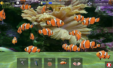 aqualand+ 3d fish aquarium