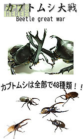 beetle wars