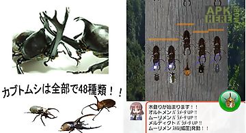 Beetle wars