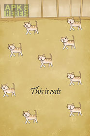 cat evolution party