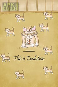 cat evolution party