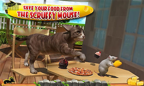 crazy cat vs. mouse 3d