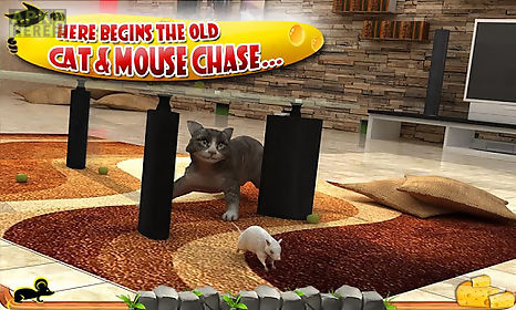 crazy cat vs. mouse 3d