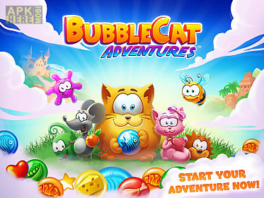 bubble cat adventures