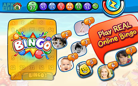 bingo - free bingo casino