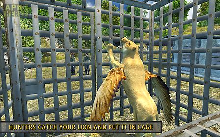 flying lion - wild simulator