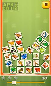 zoo blocks