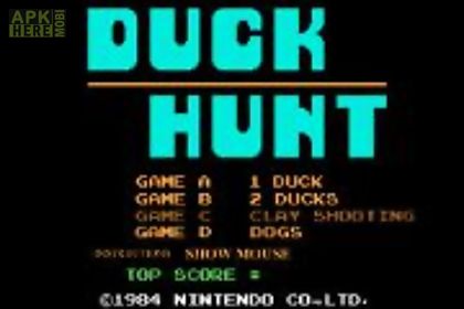 the flying duck hunting
