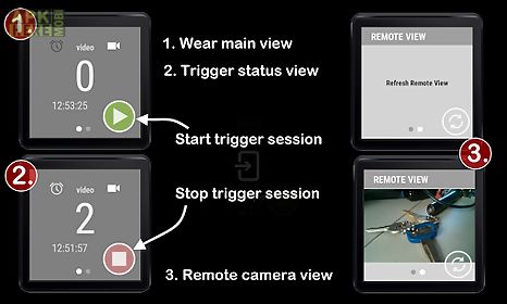 camera trigger (motion detect)